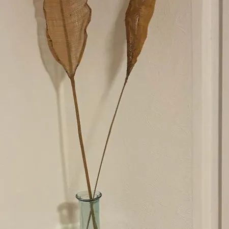 Aparthotel Waldhorn Allgaeustyle 3*